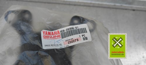 IMG_20230826_181328